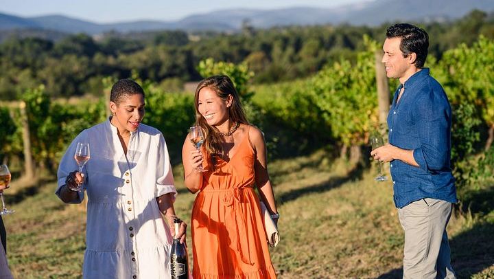 Yarra Valley Food and Wine Tour for 12 Max: Dairy Cheese, Yering Station, Kangaroos (1/12)