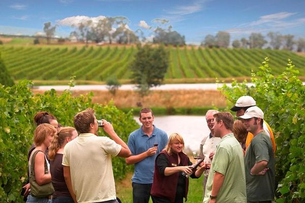 Yarra Valley Tour from Melbourne: Greenstone, Balgownie, Yering Farm, Soumah and Lunch