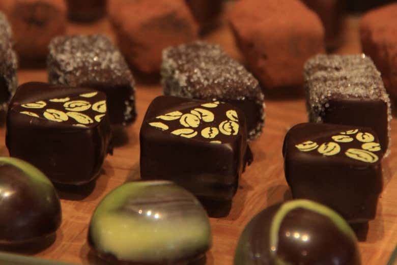 Yarra Valley Wine Tour from Melbourne Hotels: Rochford, Coldstream Dairy and Stag Lane Gin (7/7)