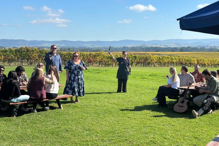 Yarra Valley Day Tour from Melbourne: Wineries, Four Pillars Gin and Chocolate Tasting (8/12)