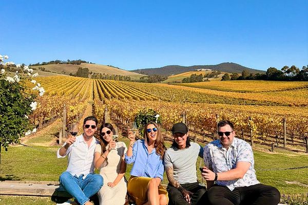 Yarra Valley Day Tour with Farm Stop, Yering Station, Chocolate and Gin Option