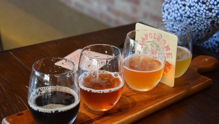 Private Yarra Valley Day Tour: Healesville Sanctuary, Cellar Doors and a Gin Distillery (3/5)