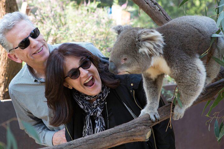 Private Yarra Valley Day Tour: Healesville Sanctuary, Cellar Doors and a Gin Distillery (5/5)