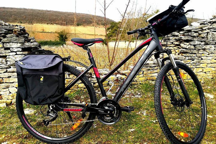 Burgundy Bike and Wine Tour: Downhill from Beaune with a Minivan Transfer and 4 Wines (10/12)