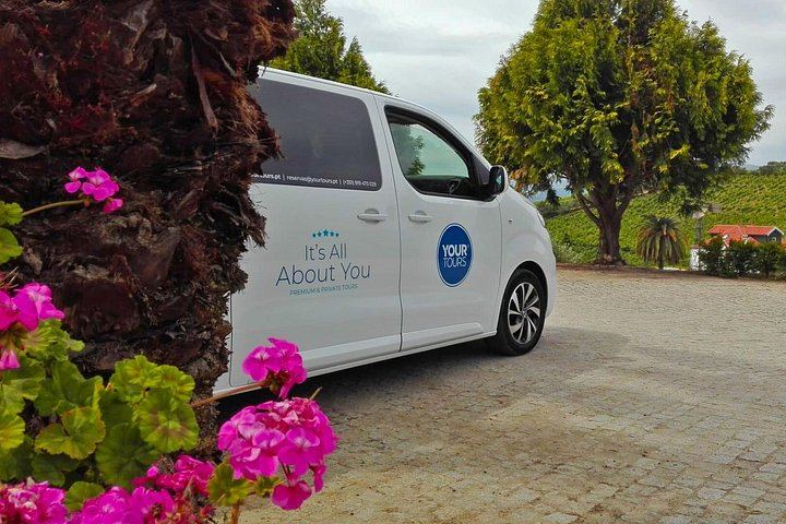 Private Douro Valley Tour Built Your Way: Choose Estates, Lunch, Boat and Family Add-Ons (11/12)