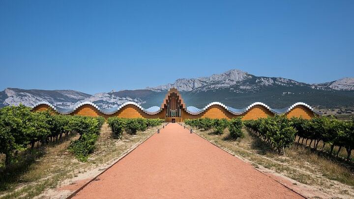 Private Rioja Wine Day from San Sebastian: Two to Three Wineries, Three-Course Lunch (1/12)