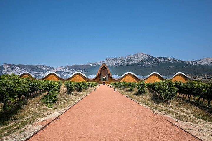 Private Rioja Wine Day from San Sebastian: Two to Three Wineries, Three-Course Lunch (1/12)