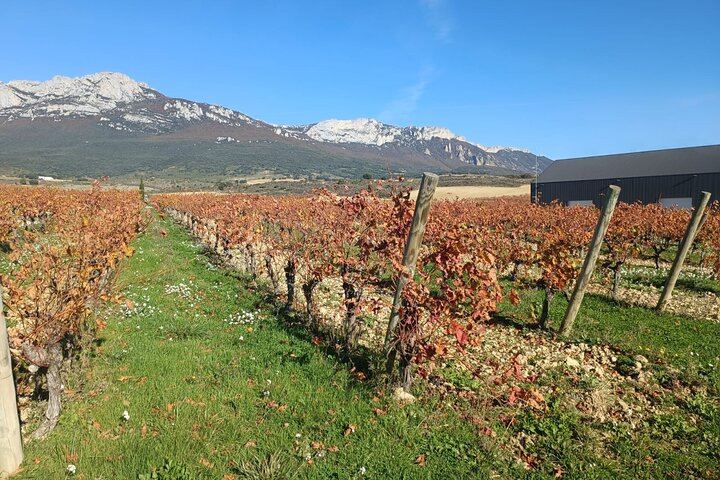 Private Rioja Wine Day from San Sebastian: Two to Three Wineries, Three-Course Lunch (2/12)