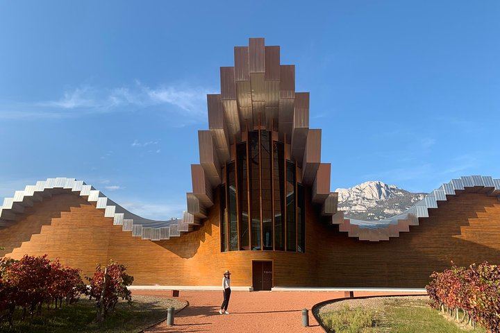 Rioja Alavesa Day Trip: Four Winery Tastings and Medieval Villages (8/12)