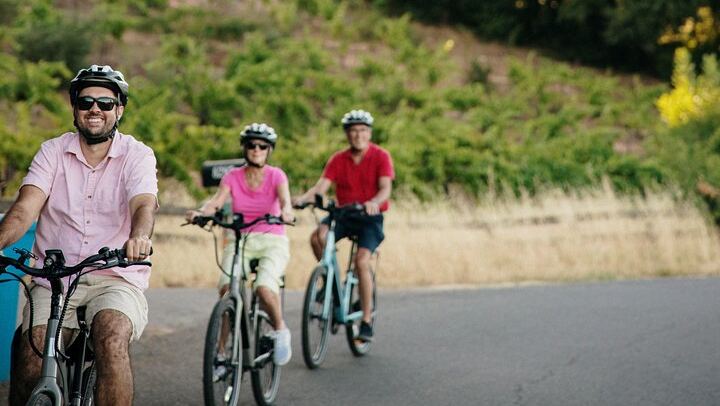 Half-Day Electric Bike Wine Tour in Sonoma County: Two Wineries and Lunch (1/5)