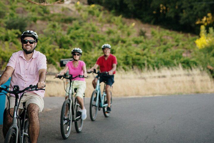 Half-Day Electric Bike Wine Tour in Sonoma County: Two Wineries and Lunch (1/5)